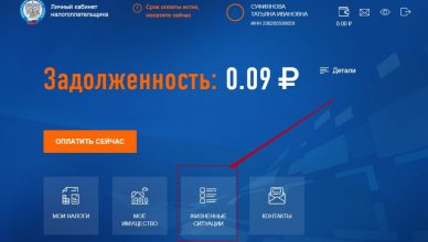 Налогоплательщик