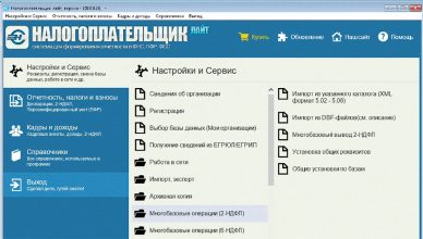 Подготовка и отправка отчётности «Налогоплательщик Лайт»